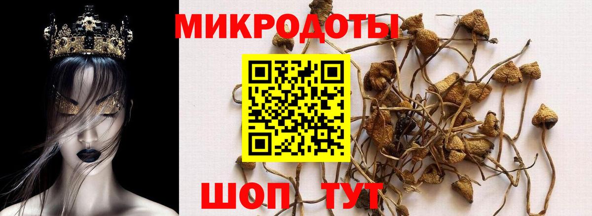 Галлюциногенные грибы Magic Shrooms  Вход с VPN  Лосино-Петровский  Псилоцибиновые грибы GOLDEN TEACHER 